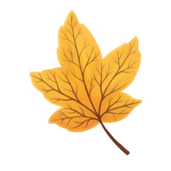 autumn maple leaf, yellow leaf on a transparent background 