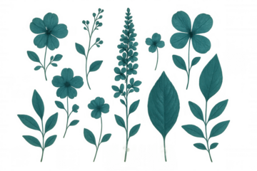 Delicate turquoise botanical elements arranging elegant floral pattern against translucent backdrop