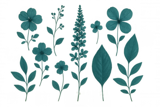 Delicate turquoise botanical elements arranging elegant floral pattern against translucent backdrop