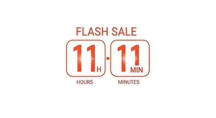 Flash Sale Countdown: Limited-Time Offer on November 11th