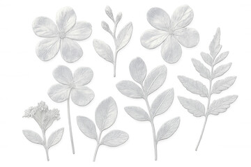 Fototapeta premium Pressed botanical specimens arranging delicate white floral elements against translucent surface