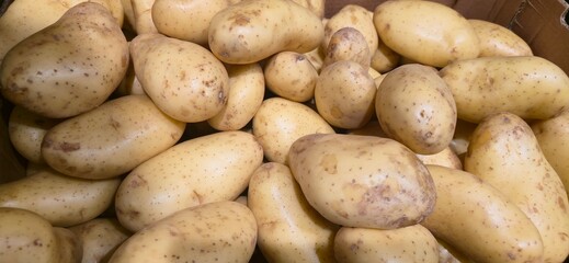 Close-up of fresh yellow onions in orange mesh bags at a market stall, showcasing texture and natural shine, evoking abundance and earthy symbolism. harvest trade
