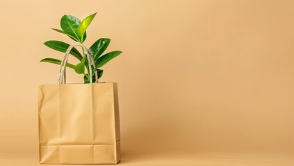 Plant in paper bag, beige background, sustainable shopping concept