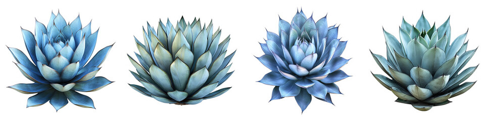 Four blue flowers are arranged in a row