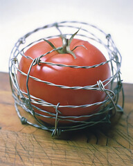 Tomato trapped in barbed wire, symbolizing confinement.
