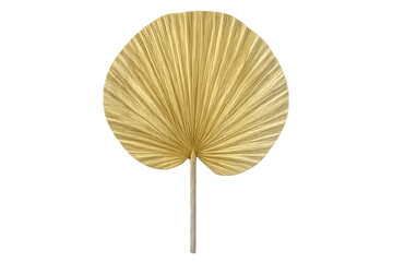 Golden dried palm leaf with detailed veining, silhouetted against transparent backdrop, highlighting natural texture and design potential