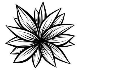 Stylized black and white outline of a blooming lotus flower, isolated on transparent background