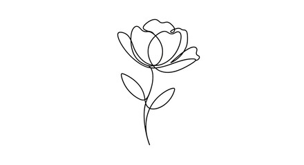 Obraz premium Minimalist line art drawing of a single flower with stem and leaves, isolated on transparent background