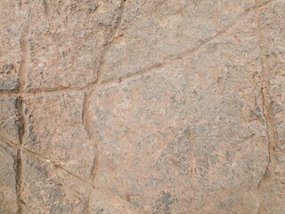 Natural rock texture featuring earthy tones and distinct surface details