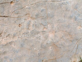 Rock surface with geological patterns and natural textures in neutral tones