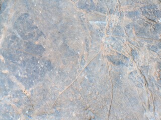 Close-up of textured rock surface with natural patterns and colors