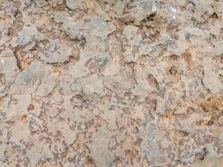 Detailed texture of weathered rocky surface with natural patterns
