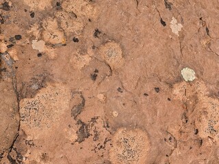 Textured stone surface with natural patterns on rocky terrain