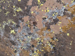 Yellow and gray lichen patterns on a rugged stone surface