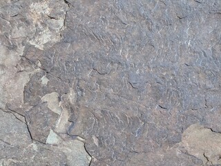 Rough textured stone surface with unique natural patterns and earthy tones