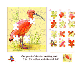 Can you find the four missing parts from the picture with the red ibis? Logic puzzle game for children and adults. Page for kids brain teaser book. Developing spatial thinking. Flat hand drawn vector