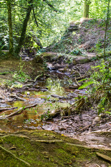 Obraz premium Valley of No Return, Forest of Broceliande, France