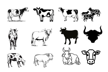 Collection of diverse cattle breeds and styles in black and white line art