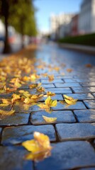 Autumnal city street, wet paving stones