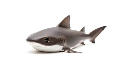 Fototapeta premium Toy Shark on White Background