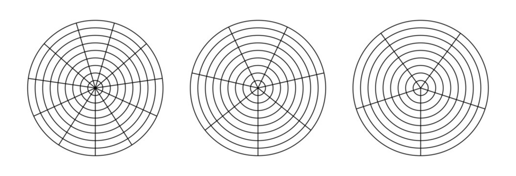 Polar grid with segments, concentric circles. Wheel of life. Coaching tool simple for visualizing all areas of life. Circle diagram of life style balance. Black blank of graph paper.