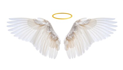 Angel wings with halo