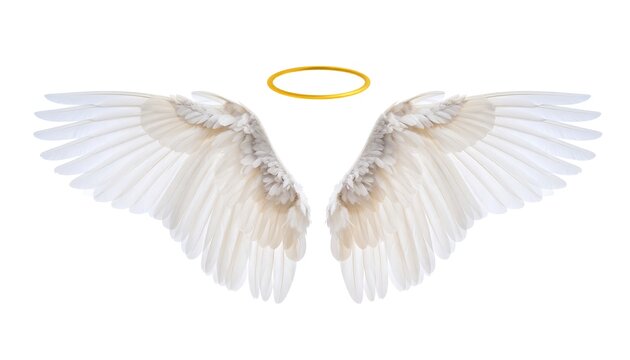 Angel wings with halo - Powered by Adobe