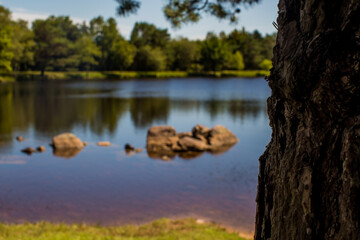 Fountain of Youth (Brocéliande’s secret)