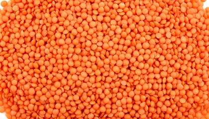 Close-up of many red lentils