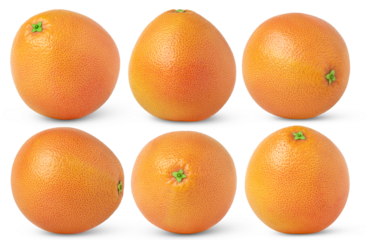 Orange fruit set: whole oranges in different positions. Grapefruit set isolated. Orange collection isolated. Orang collection.
