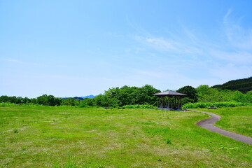 Obraz premium 天蓋高原（新潟県）