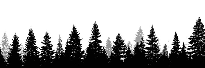 Forest edge, black silhouettes of the forest line. Trees, overlay frame
