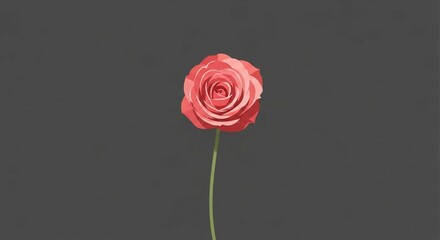 Fototapeta premium A single, delicate pink rose stands tall against a muted grey background, its petals unfurling gracefully.