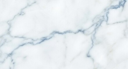 Obraz premium A detailed close-up of a white marble stone surface with natural grey and blue veining patterns.