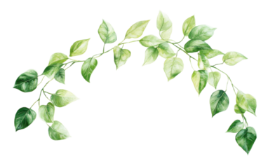 A dynamic arc of green leaves on white background,png