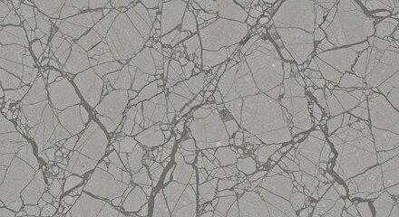 A close-up of a light grey stone slab with a dense network of dark, angular veins creating a shattered effect.