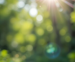 Bokeh background nature summer light blue 