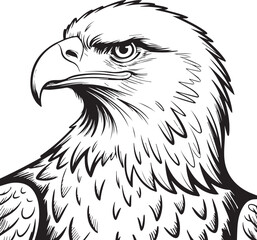 eagle head bw vector line detailed plumes fierce eyes hooked beak raptor mascot nature icon strength freedom vision bold
