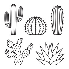clean cactus lines arts minimal outline desert plants saguaro barrel round cactus prickly pear opuntia rosette succulent © AIcon Star
