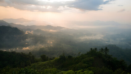 Obraz premium Misty mountain valley at sunrise, lush green forests and hills.