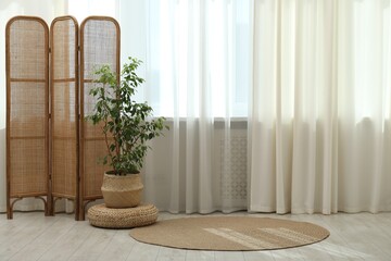 Houseplant and folding screen near window with curtains in living room. Interior design