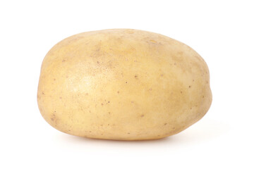 One fresh raw potato isolated on white