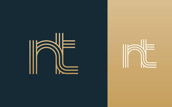 Modern elegant nt letter logo design vector illustration