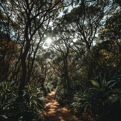 sunrise in the forest