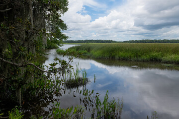 Marsh wiew at Middleton Place planation in Charleston, South Carolina.