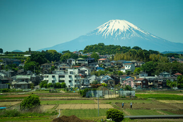 富士山を背景にした初夏の暮らし（静岡県）