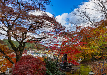もみじ寺　茨城県