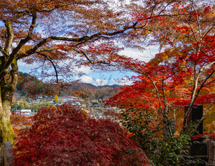 もみじ寺　茨城県