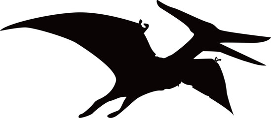 プテラノドンの恐竜のシルエットイラスト © foolchico
