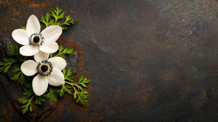 Elegant white flowers with dark centers are beautifully arranged on textured dark surface, complemented by vibrant green leaves, creating serene and natural aesthetic
